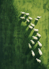 Among the Green – Minimalist Aerial Pasture Print