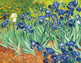 Vincent van Gogh 'Irises' Wall Art - Art Store